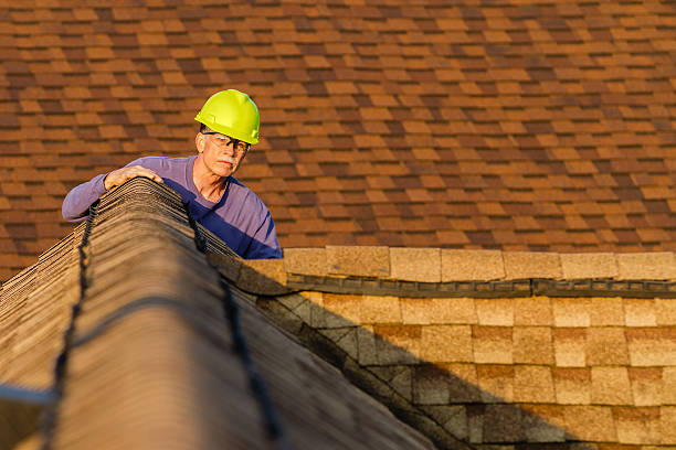 Best Roof Gutter Cleaning  in Kingsport, TN